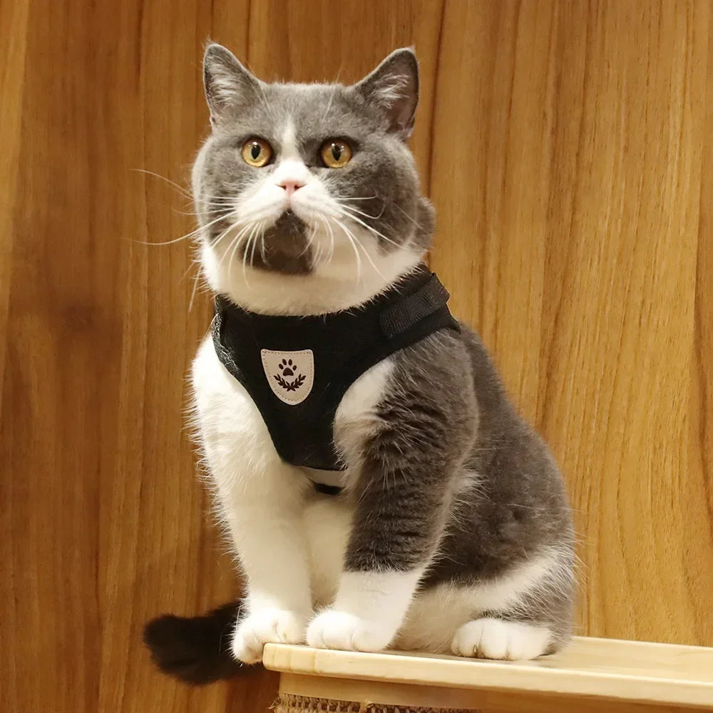 Escape-Proof Cat Harness – Reflective Vest with Leash
