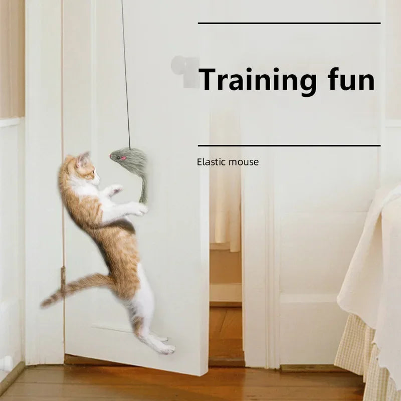 Interactive Hanging Cat Toy – Retractable Mouse Teaser