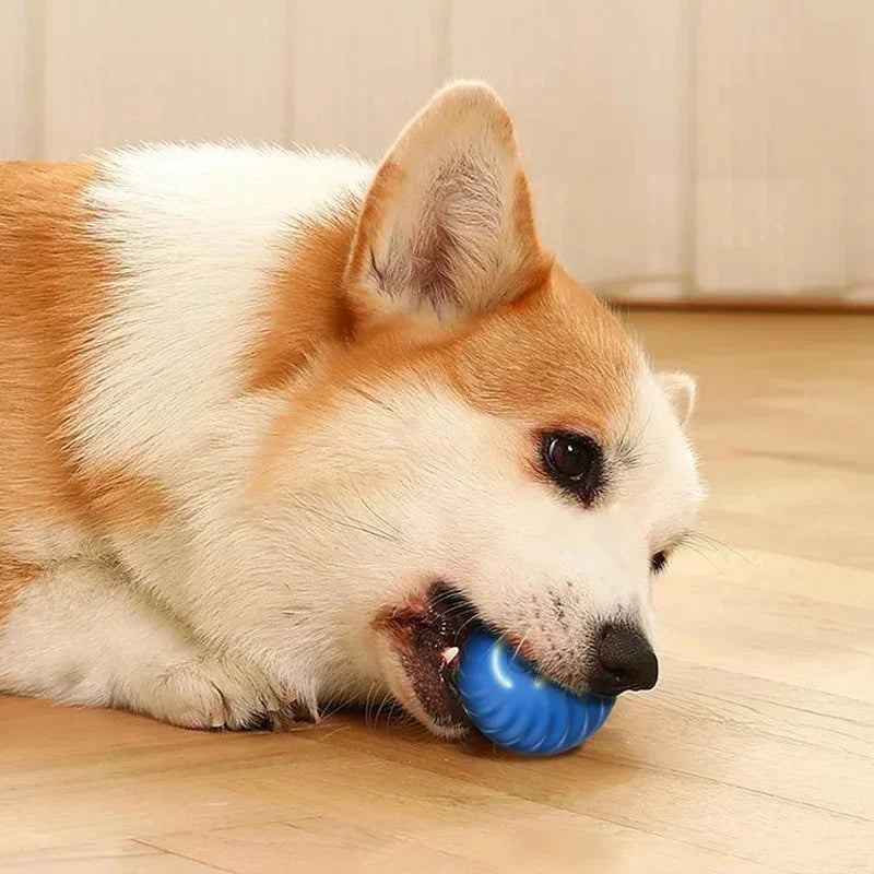 Auto-Moving Bounce Ball — USB Rechargeable Pet Toy