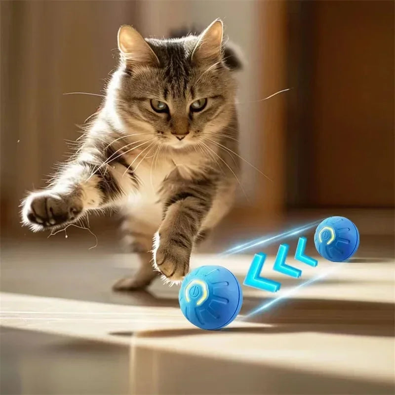 Auto-Moving Bounce Ball — USB Rechargeable Pet Toy