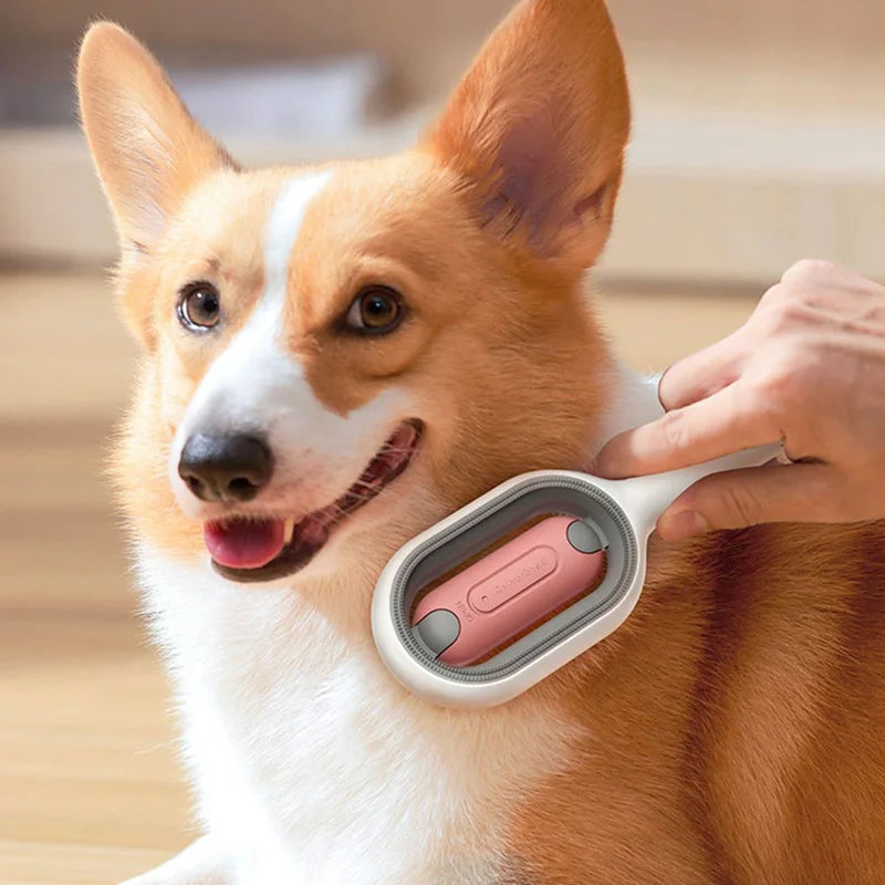 Pet Hair Removal Comb with Wipes – Grooming Brush