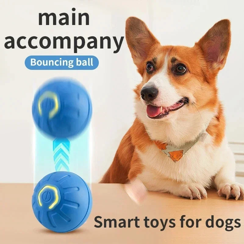 Auto-Moving Bounce Ball — USB Rechargeable Pet Toy