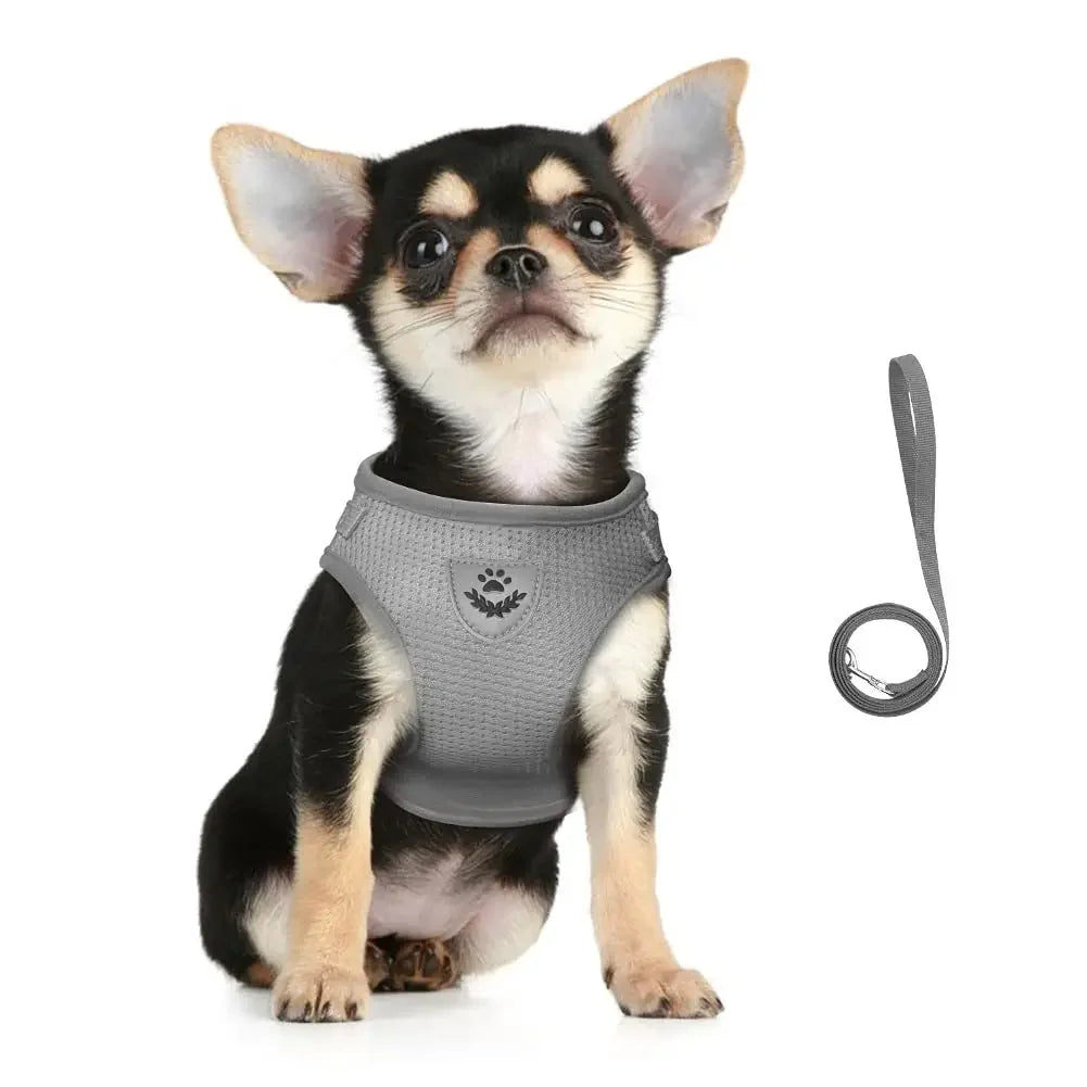 Escape-Proof Cat Harness – Reflective Vest with Leash