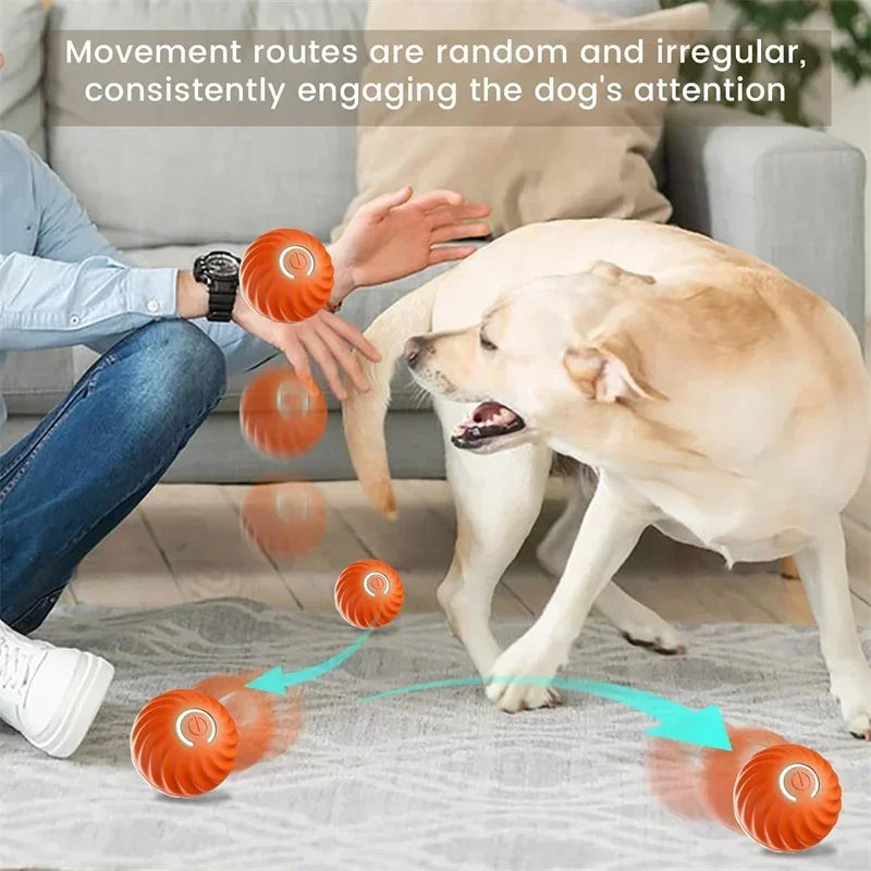 Auto-Moving Bounce Ball — USB Rechargeable Pet Toy