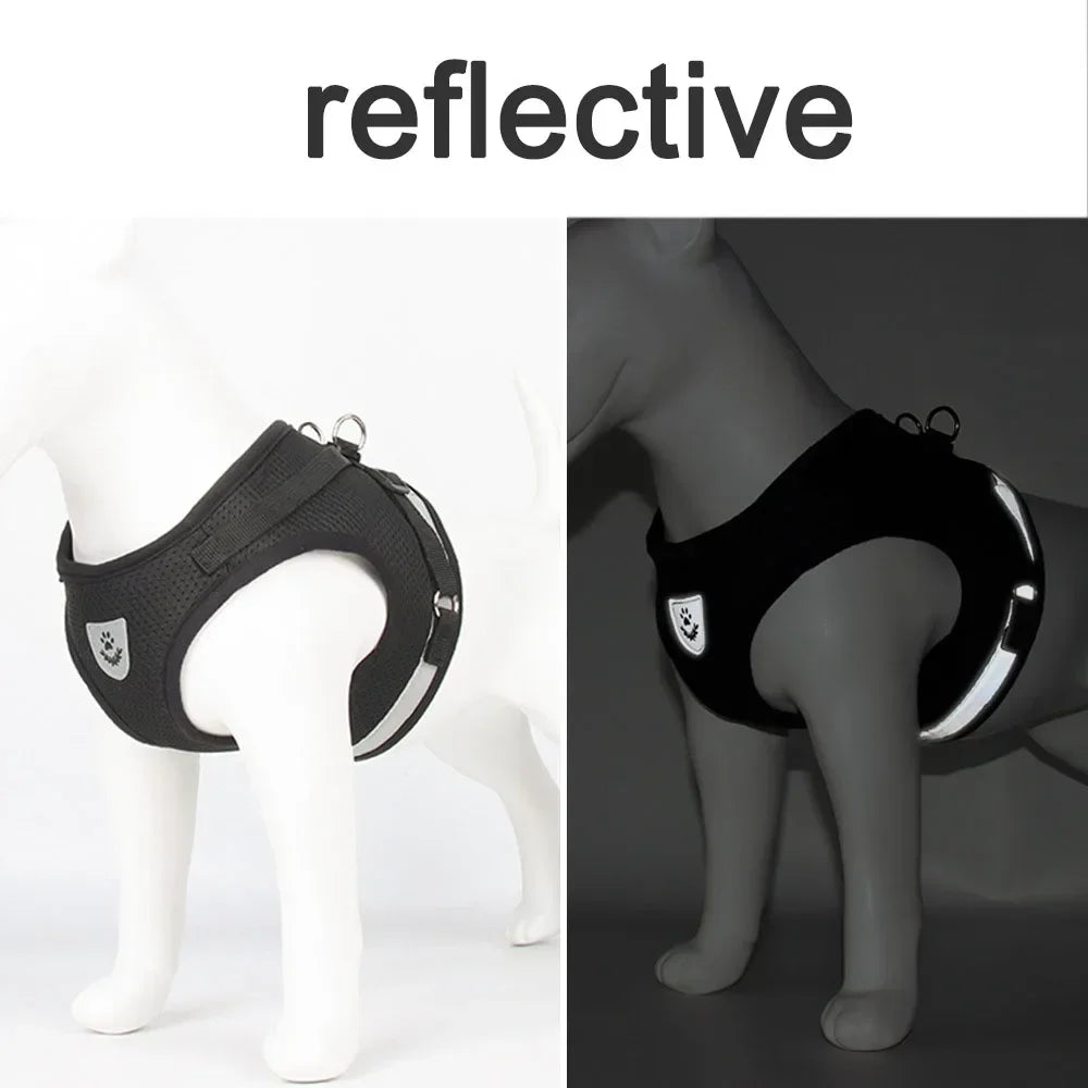 Escape-Proof Cat Harness – Reflective Vest with Leash
