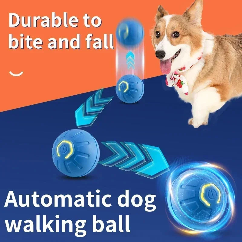 Auto-Moving Bounce Ball — USB Rechargeable Pet Toy
