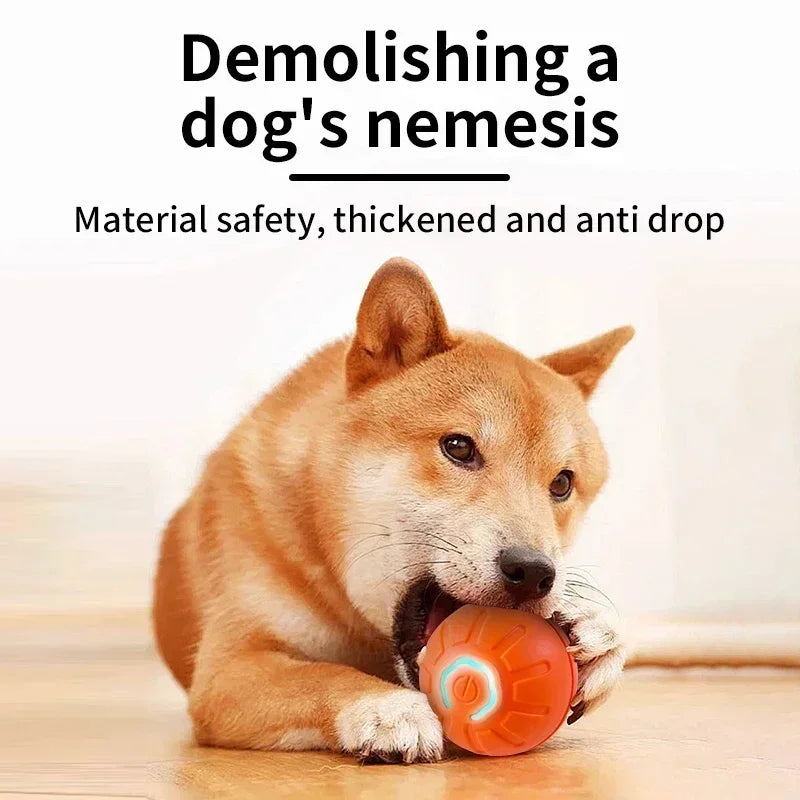 Auto-Moving Bounce Ball — USB Rechargeable Pet Toy