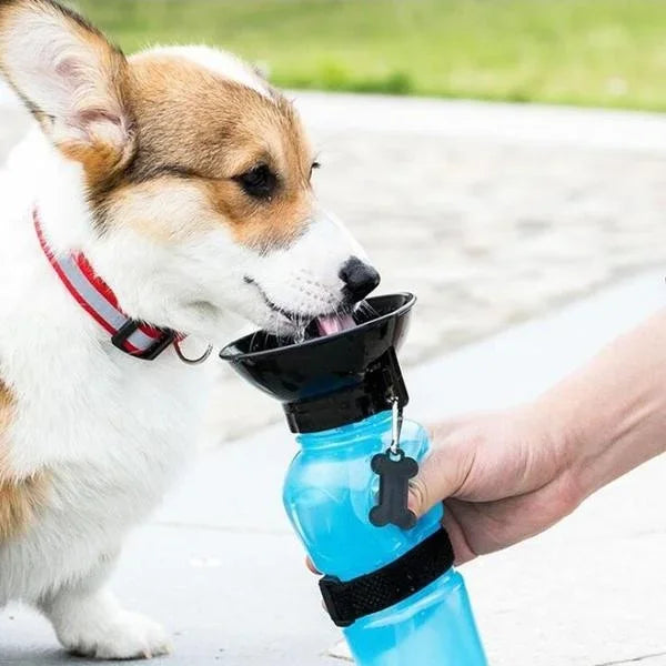 Portable Pet Water Bottle – 500ml Travel Feeder Bowl
