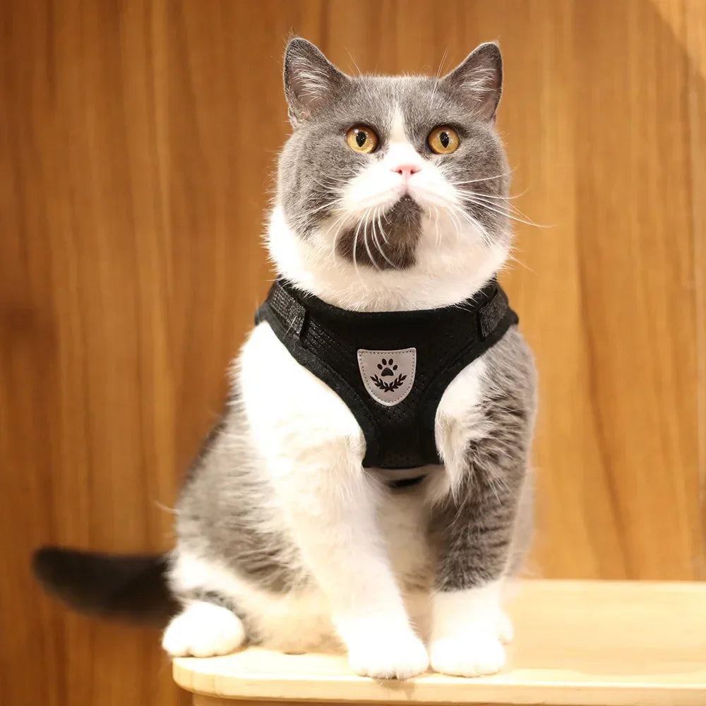 Escape-Proof Cat Harness – Reflective Vest with Leash
