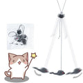 Interactive Hanging Cat Toy – Retractable Mouse Teaser