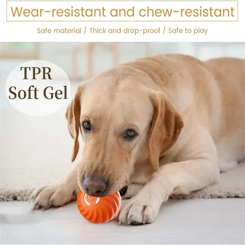 Auto-Moving Bounce Ball — USB Rechargeable Pet Toy