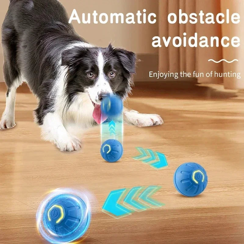 Auto-Moving Bounce Ball — USB Rechargeable Pet Toy