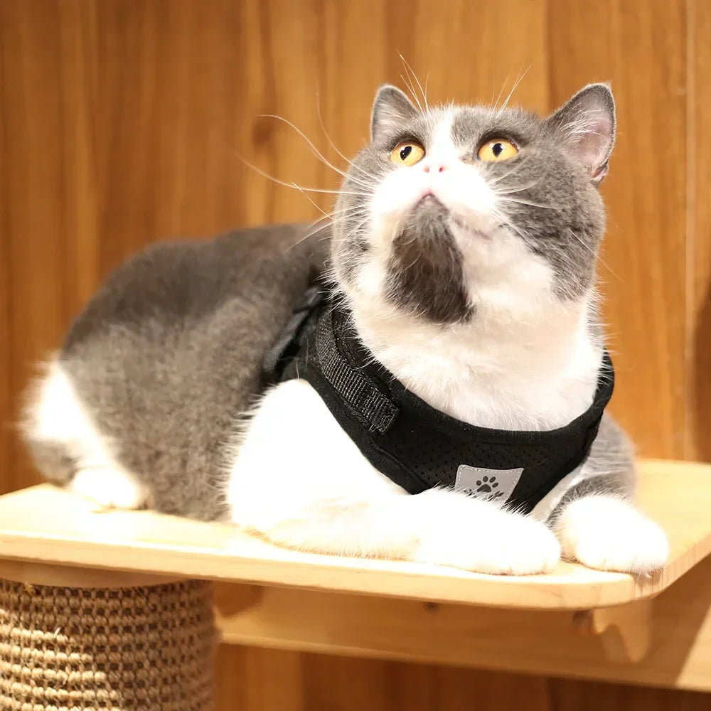 Escape-Proof Cat Harness – Reflective Vest with Leash